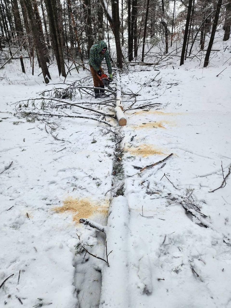 Elite Timber land clearing job in Northern Michigan