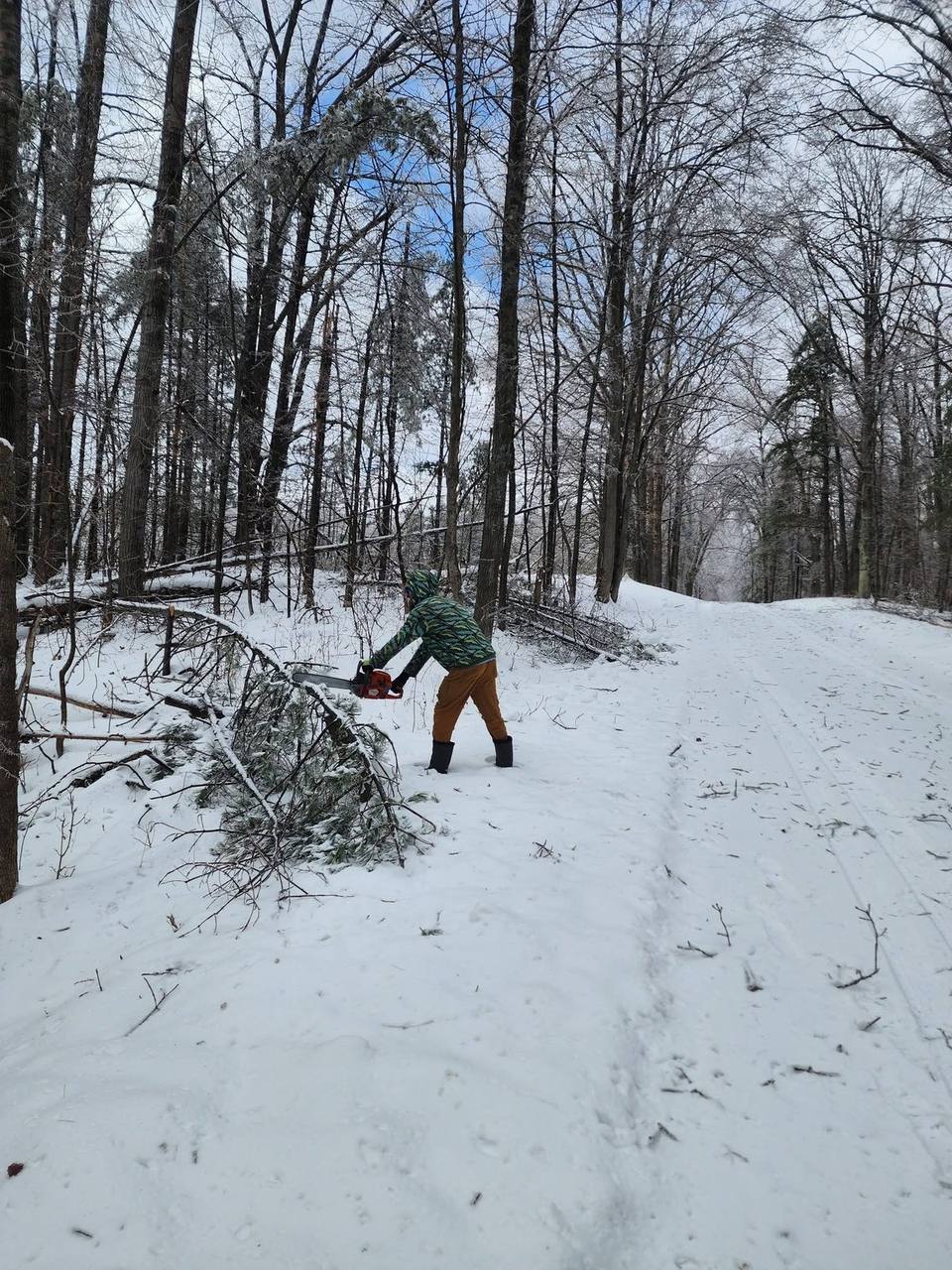 Elite Timber land clearing job in Northern Michigan