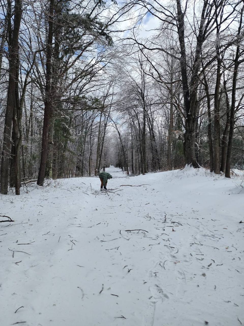 Elite Timber land clearing job in Northern Michigan