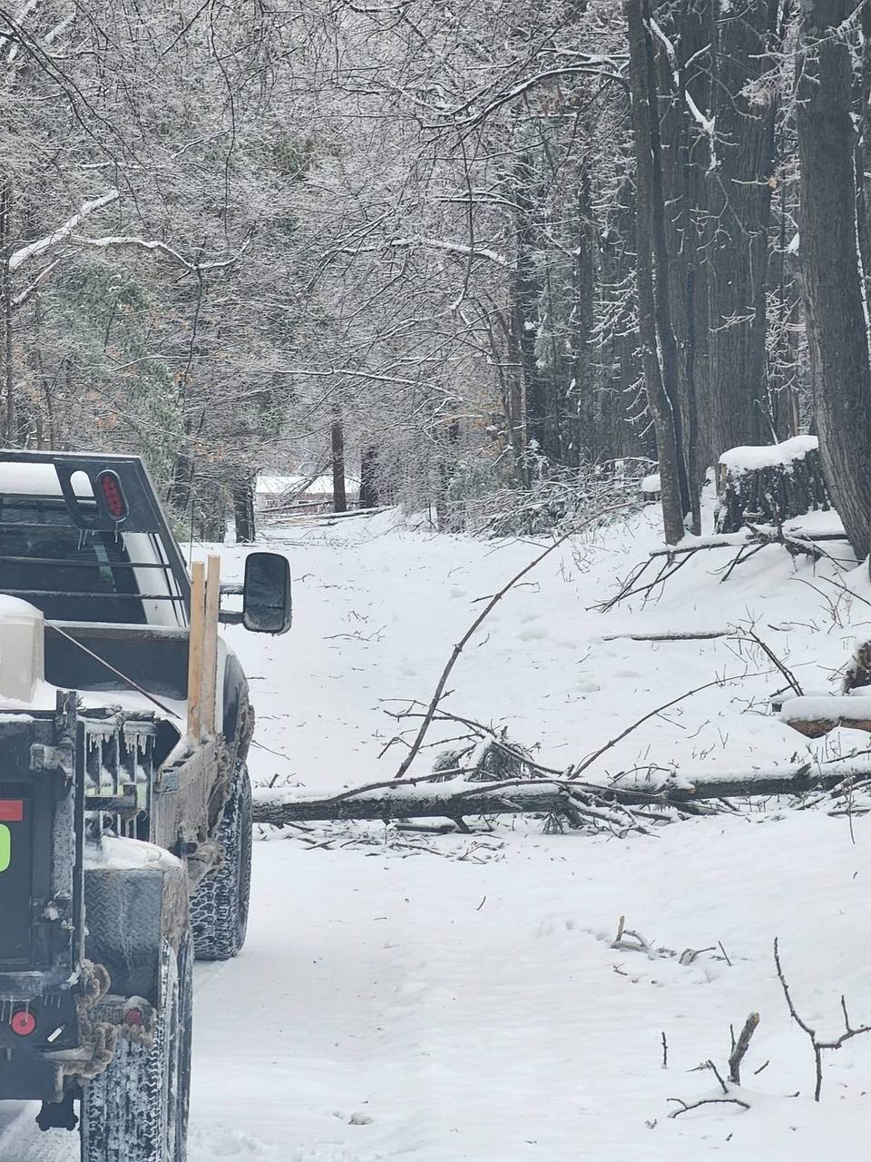 Elite Timber land clearing job in Northern Michigan