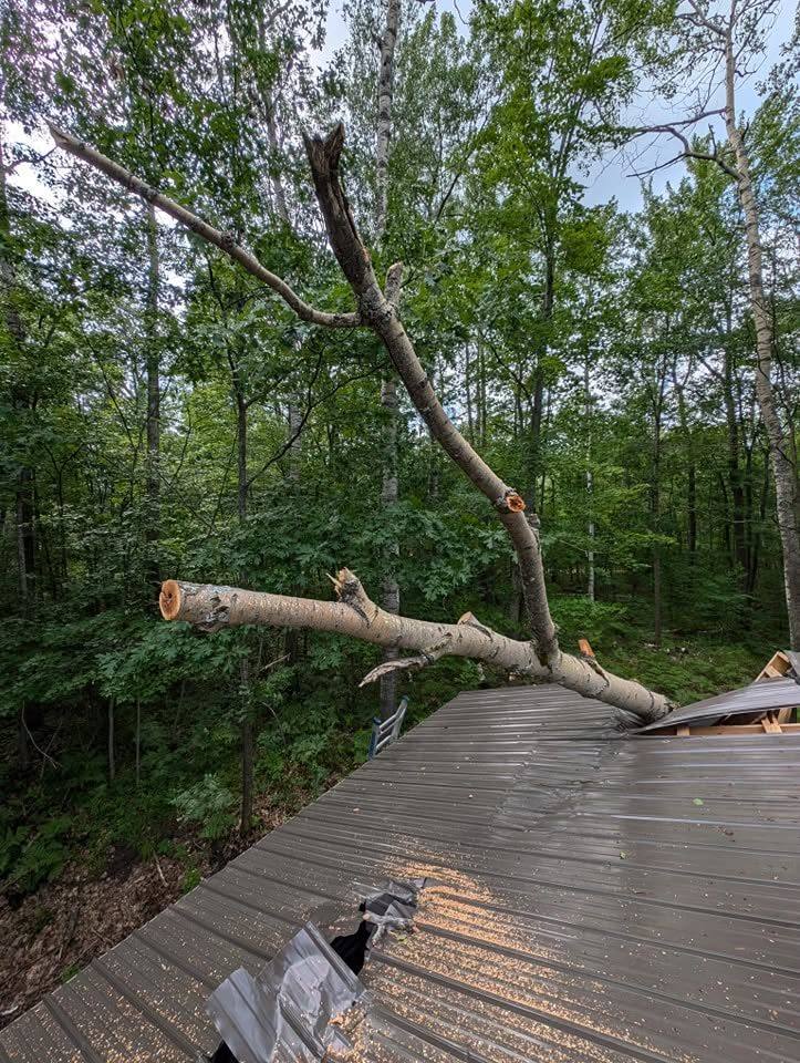 Elite Timber storm and emergency job in Northern Michigan