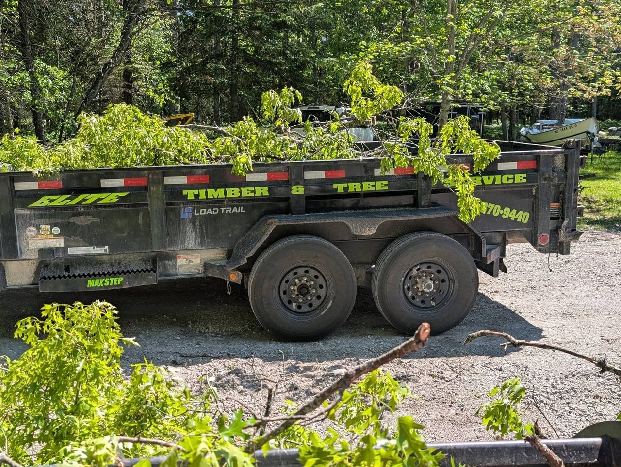 Elite Timber stump grinding job in Northern Michigan