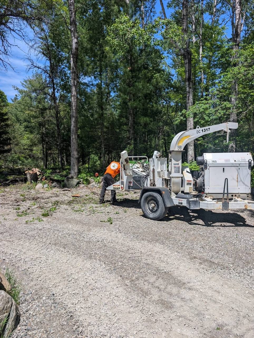 Elite Timber stump grinding job in Northern Michigan
