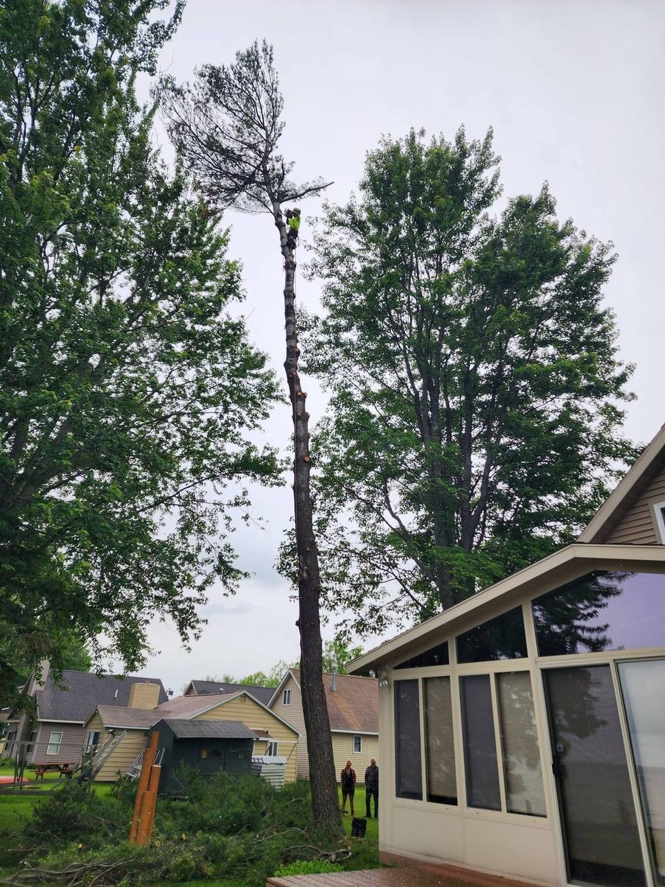 Elite Timber tree removal job in Northern Michigan