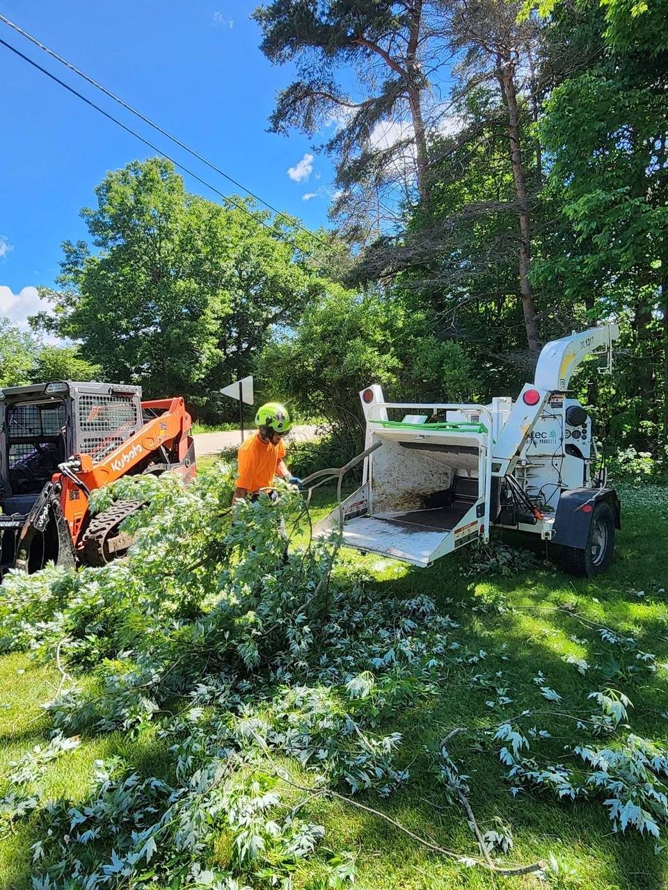 Elite Timber tree removal job in Northern Michigan