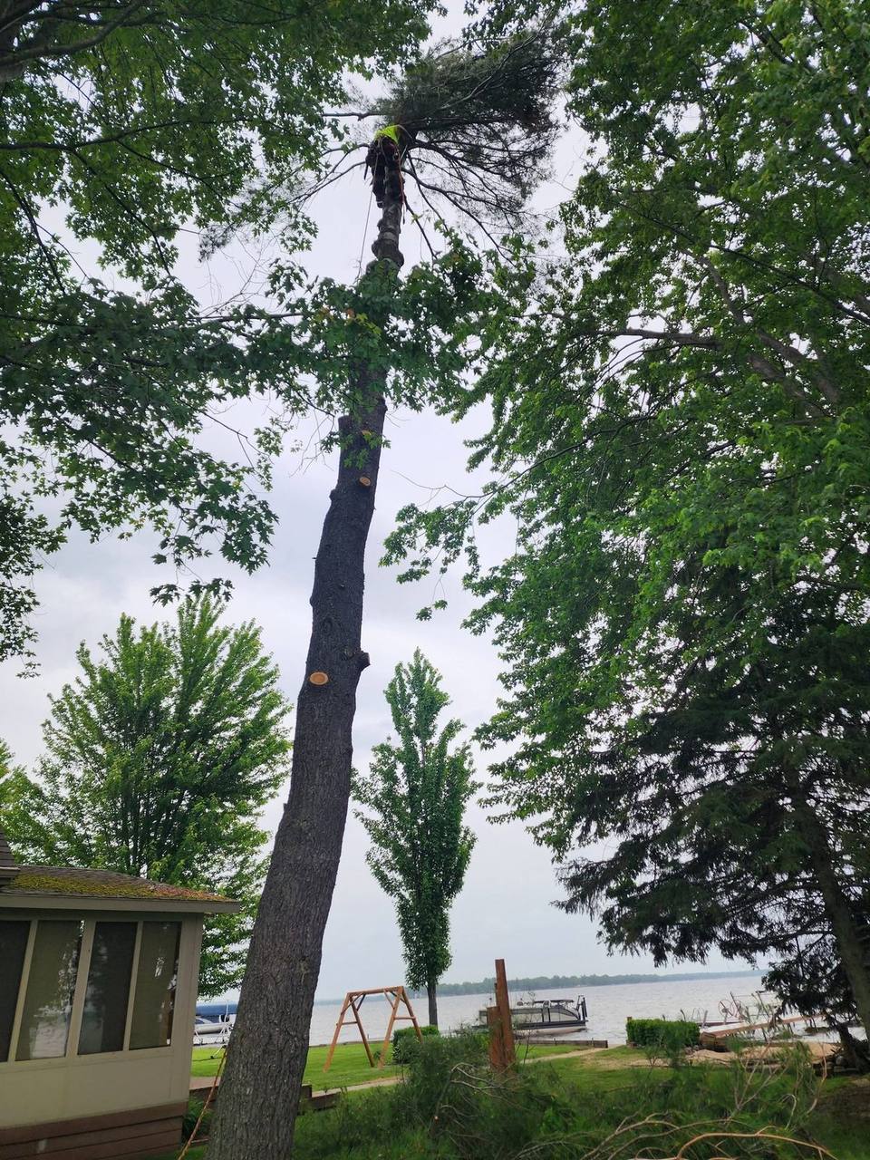 Trimming back overgrowth