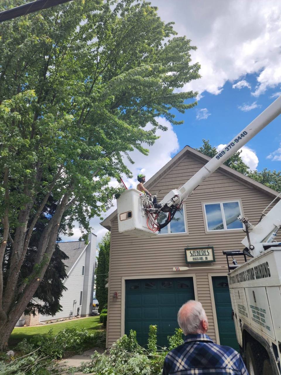 Precision branch trimming